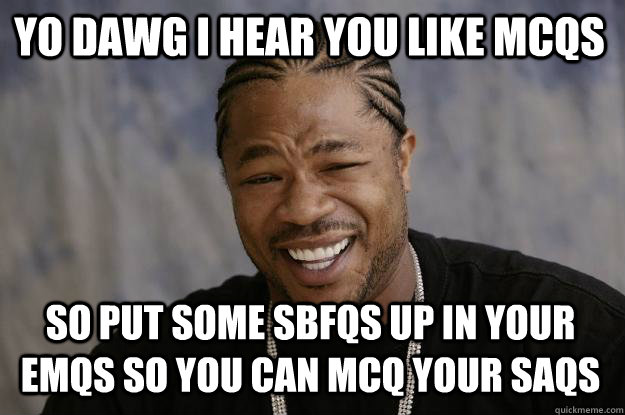 YO DAWG I HEAR YOU like mcqs so put some sbfqs up in your emqs so you can mcq your saqs - YO DAWG I HEAR YOU like mcqs so put some sbfqs up in your emqs so you can mcq your saqs  Xzibit meme