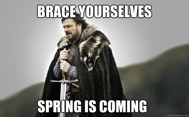 BRACE YOURSELVES Spring is coming  Ned Stark
