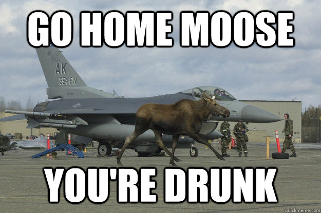 GO HOME MOOSE YOU'RE DRUNK - GO HOME MOOSE YOU'RE DRUNK  Misc