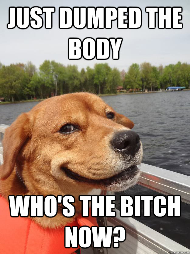 Just dumped the body Who's the BITCH now? - Just dumped the body Who's the BITCH now?  Smug Dog Strikes Again