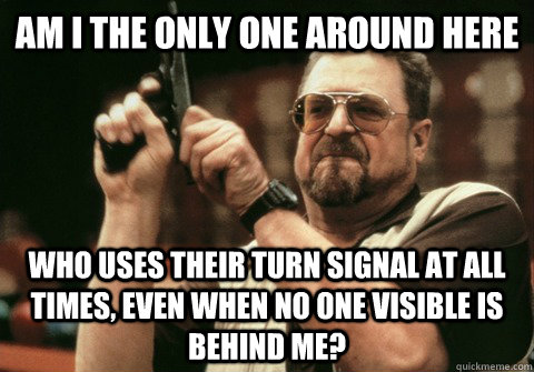 Am I the only one around here Who uses their turn signal at all times, even when no one visible is behind me?  Am I the only one
