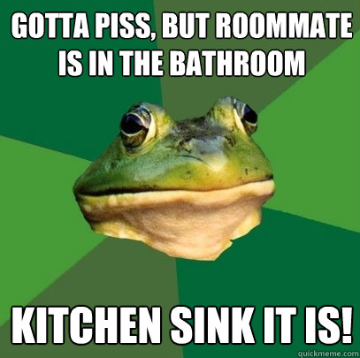 Gotta piss, but roommate is in the bathroom Kitchen sink it is!  Foul Bachelor Frog