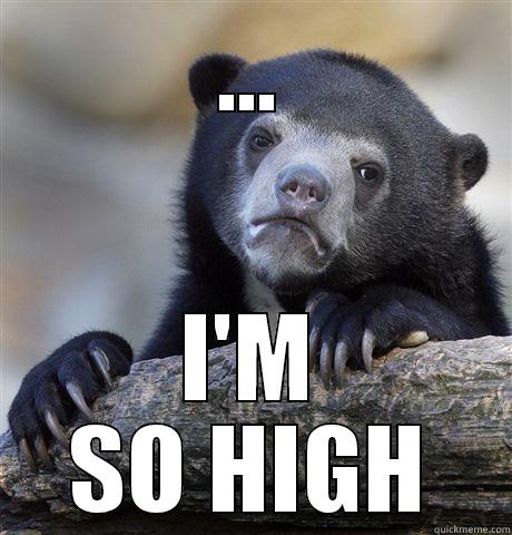 ... I'M SO HIGH Confession Bear