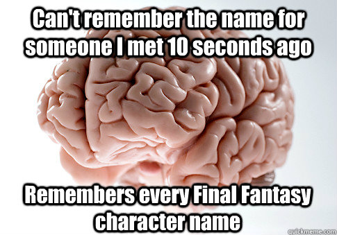 Can't remember the name for someone I met 10 seconds ago Remembers every Final Fantasy character name  Scumbag Brain