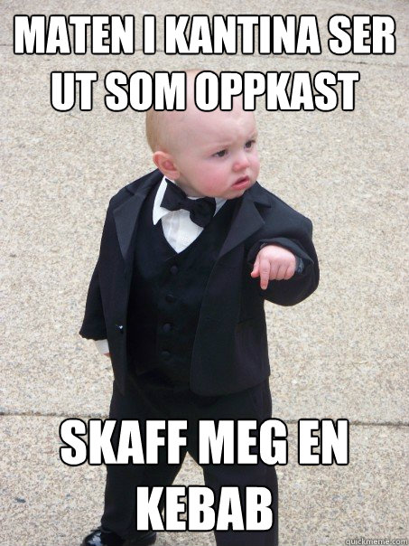 Maten i kantina ser ut som oppkast Skaff meg en kebab  Baby Godfather