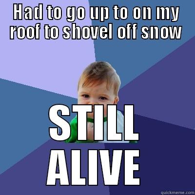 HAD TO GO UP TO ON MY ROOF TO SHOVEL OFF SNOW STILL ALIVE Success Kid