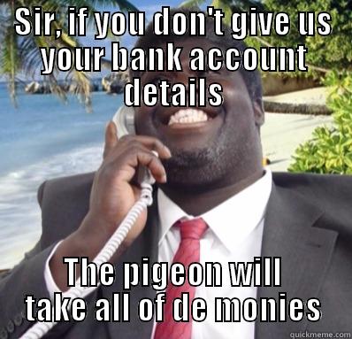 SIR, IF YOU DON'T GIVE US YOUR BANK ACCOUNT DETAILS THE PIGEON WILL TAKE ALL OF DE MONIES Misc
