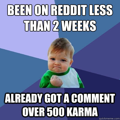 Been on reddit less than 2 weeks Already got a comment over 500 karma  Success Kid