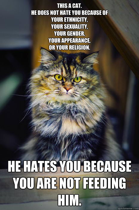 This a cat. 
He does not hate you because of 
your ethnicity,
your sexuality, 
your gender,
your appearance, 
or your religion.  He hates you because
you are not feeding him.  