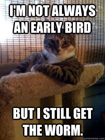 I'm not always an early bird But I still get the worm.  The Most Interesting Cat in the World