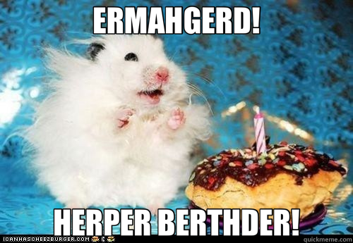 ERMAHGERD! HERPER BERTHDER!  