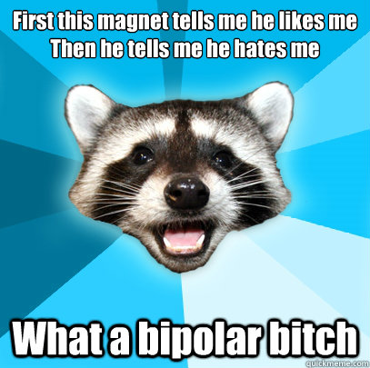 First this magnet tells me he likes me
Then he tells me he hates me What a bipolar bitch  Lame Pun Coon