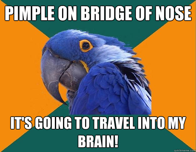 Pimple on Bridge of Nose It's going to travel into my brain!  Paranoid parrot flat tire
