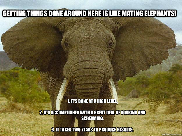 Getting Things Done Around Here Is Like Mating Elephants! 1. It’s Done At A High Level.

2. It’s Accomplished With A Great Deal Of Roaring And
Screaming.

3. It Takes Two Years To Produce Results. - Getting Things Done Around Here Is Like Mating Elephants! 1. It’s Done At A High Level.

2. It’s Accomplished With A Great Deal Of Roaring And
Screaming.

3. It Takes Two Years To Produce Results.  Getting things done