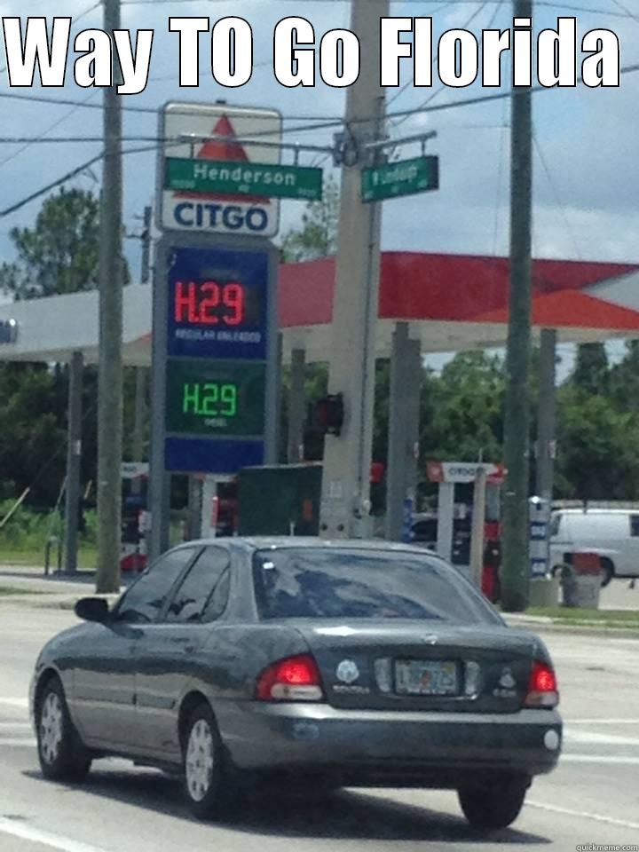 WAY TO GO FLORIDA   Misc