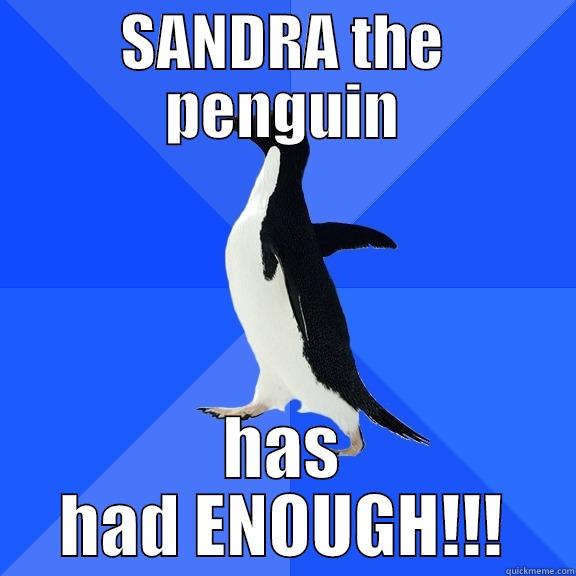 SANDRA THE PENGUIN HAS HAD ENOUGH!!! Socially Awkward Penguin