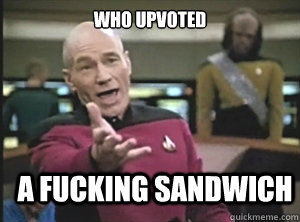 who upvoted a fucking sandwich  Annoyed Picard