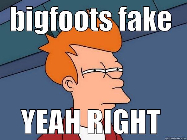 BIGFOOTS FAKE YEAH RIGHT Futurama Fry