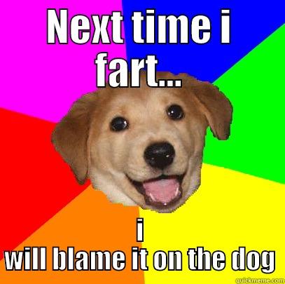 NEXT TIME I FART... I WILL BLAME IT ON THE DOG Advice Dog