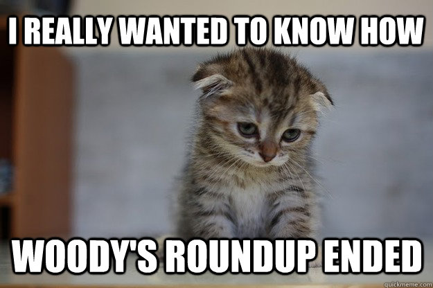 I Really wanted to know how Woody's roundup ended  Sad Kitten