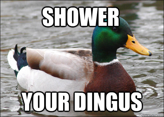 Shower Your dingus  Actual Advice Mallard