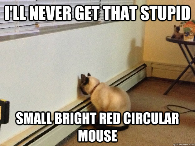 I'll never get that stupid Small bright red circular mouse  Regretful Cat