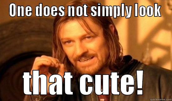 ONE DOES NOT SIMPLY LOOK THAT CUTE! Boromir
