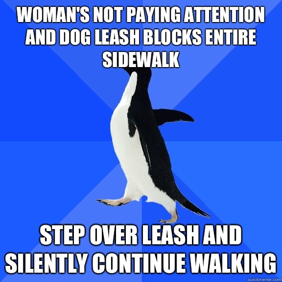 Woman's not paying attention and dog leash blocks entire sidewalk Step over leash and silently continue walking  Socially Awkward Penguin