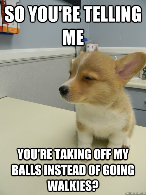 So you're telling me You're taking off my balls instead of going walkies? - So you're telling me You're taking off my balls instead of going walkies?  Misc