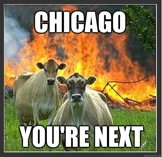 Chicago you're next  Evil cows