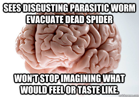 Sees disgusting parasitic worm evacuate dead spider won't stop imagining what would feel or taste like.  Scumbag Brain