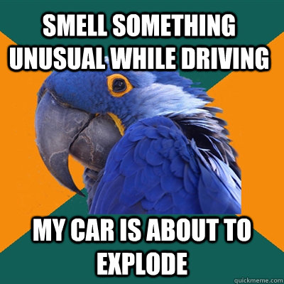 Smell something unusual while driving My car is about to explode  Paranoid Parrot