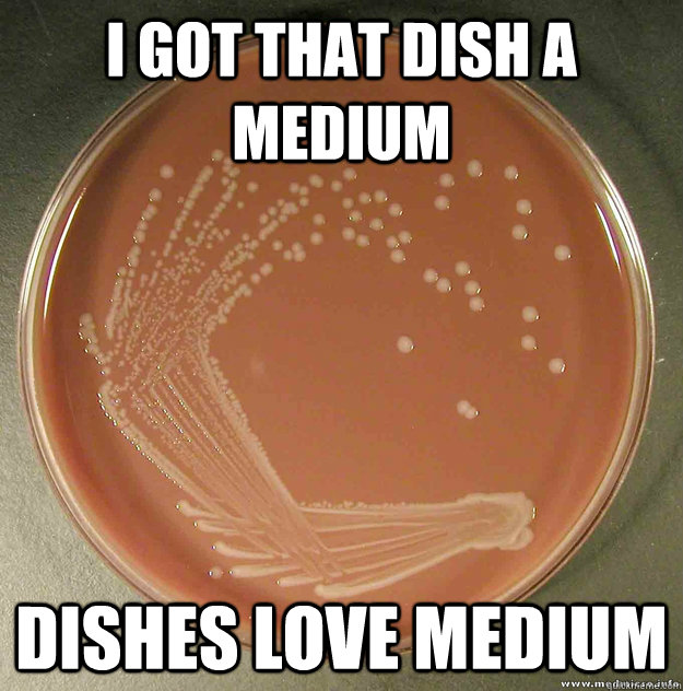 I got that dish a medium Dishes love medium - I got that dish a medium Dishes love medium  Misc
