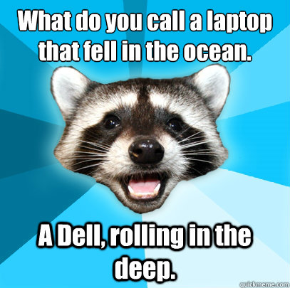 What do you call a laptop that fell in the ocean. A Dell, rolling in the deep.  Lame Pun Coon