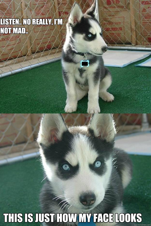 listen.. no really, i'm 
not mad.. this is just how my face looks  Insanity puppy