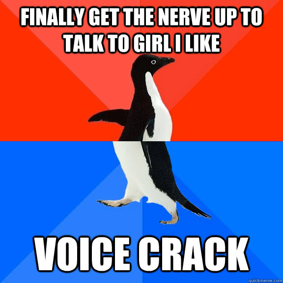 finally get the nerve up to talk to girl i like  voice crack  Socially Awesome Awkward Penguin