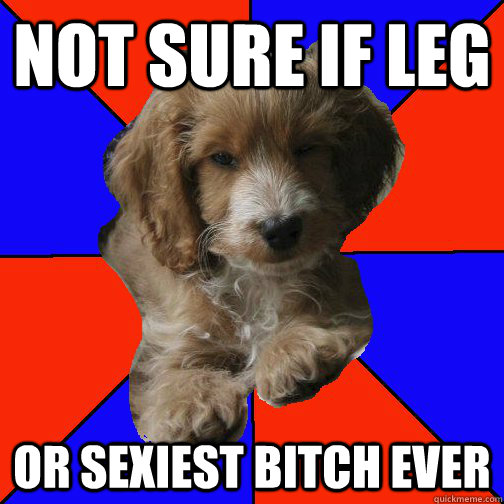 Not sure if leg Or sexiest bitch ever  