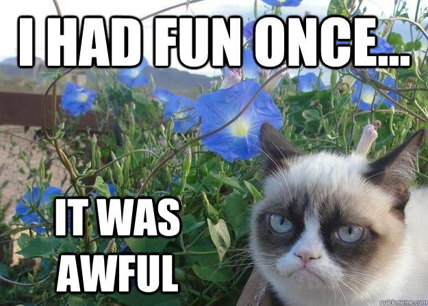 I had fun once... It was awful - I had fun once... It was awful  Cheer up grumpy cat