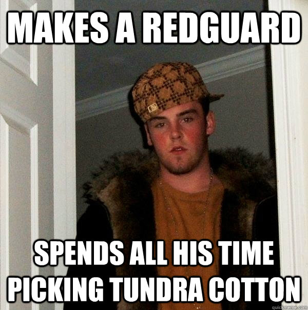 Makes a Redguard Spends all his time picking tundra cotton  Scumbag Steve