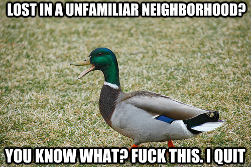 lost in a unfamiliar neighborhood? you know what? fuck this. i quit  Angry Actual Advice Duck