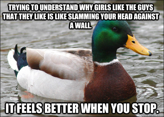 Trying to understand why girls like the guys that they like is like slamming your head against a wall. It feels better when you stop.  Actual Advice Mallard