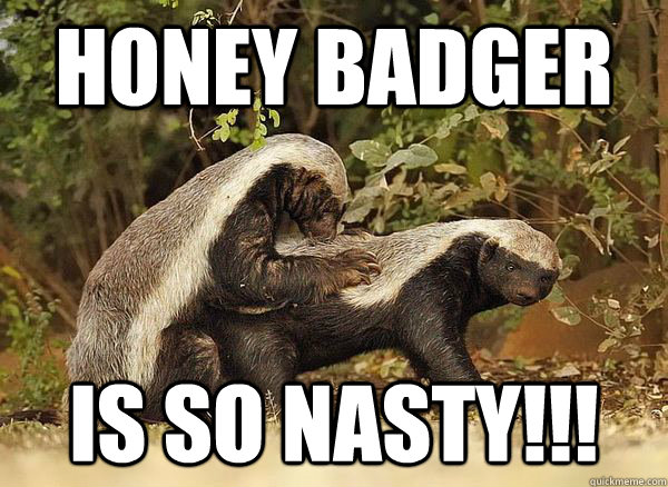 Honey Badger is so nasty!!!  Honey Badger