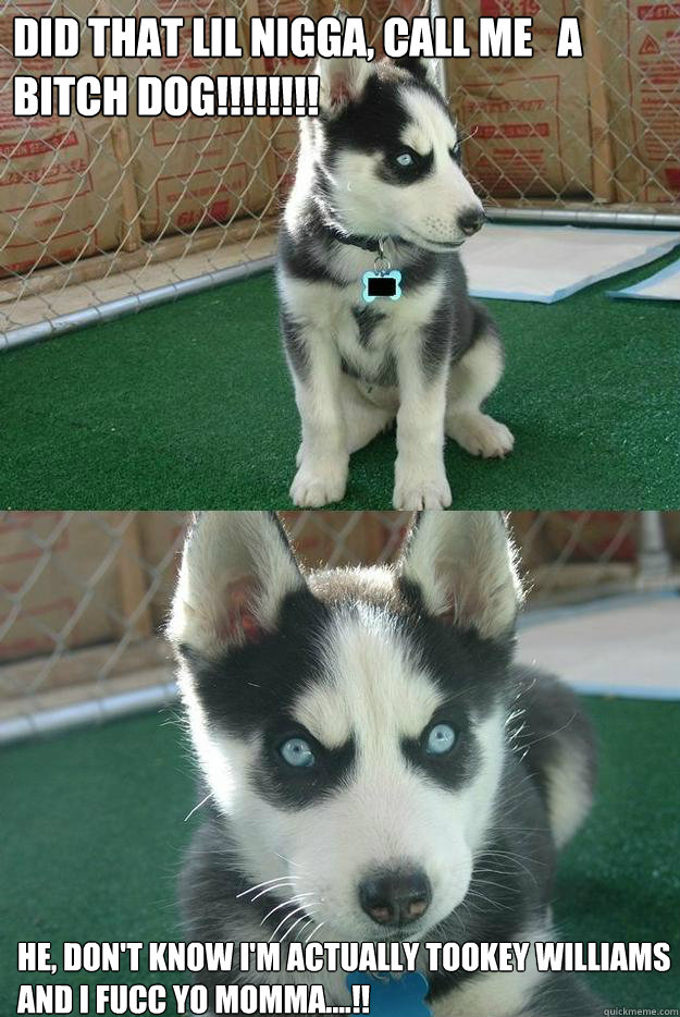 Did that lil nigga, call me   a Bitch dog!!!!!!!! He, don't know I'm actually Tookey Williams and I fucc yo momma....!!  Insanity puppy