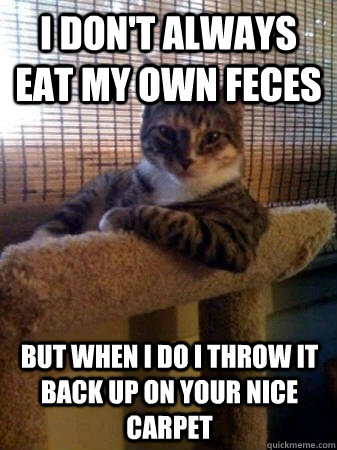 I don't always eat my own feces but when i do i throw it back up on your nice carpet  The Most Interesting Cat in the World