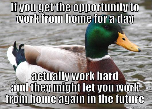 IF YOU GET THE OPPORTUNITY TO WORK FROM HOME FOR A DAY ACTUALLY WORK HARD AND THEY MIGHT LET YOU WORK FROM HOME AGAIN IN THE FUTURE Actual Advice Mallard