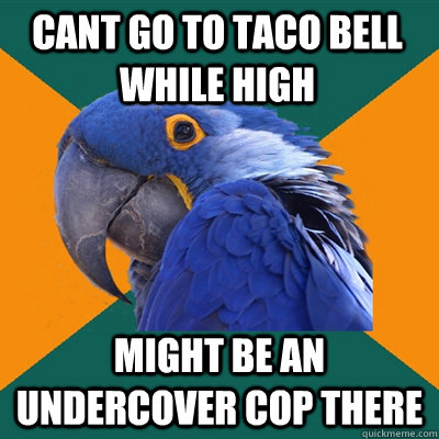 cant go to taco bell while high might be an undercover cop there  Paranoid Parrot