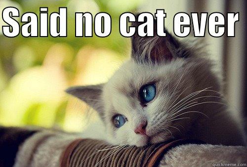 SAID NO CAT EVER   First World Problems Cat