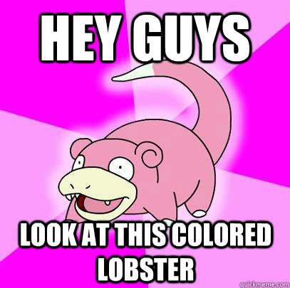 Hey guys look at this colored lobster  Slowpoke