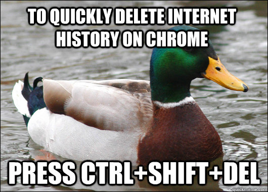 To quickly delete internet history on chrome press ctrl+shift+del  Actual Advice Mallard