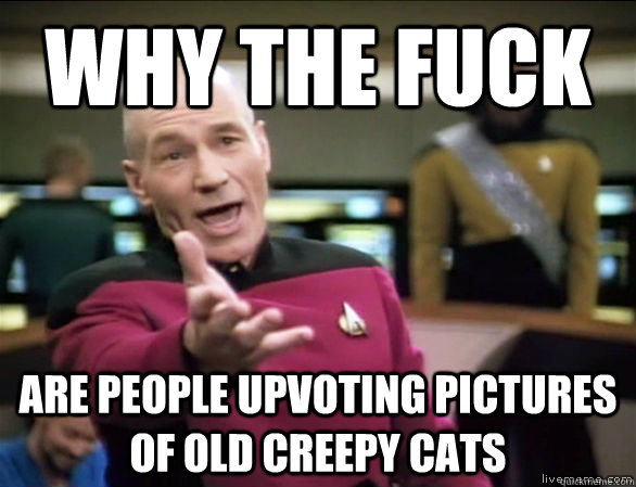 why the fuck Are people upvoting pictures of old creepy cats  Annoyed Picard HD